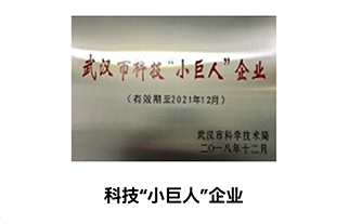 软件小巨人企业